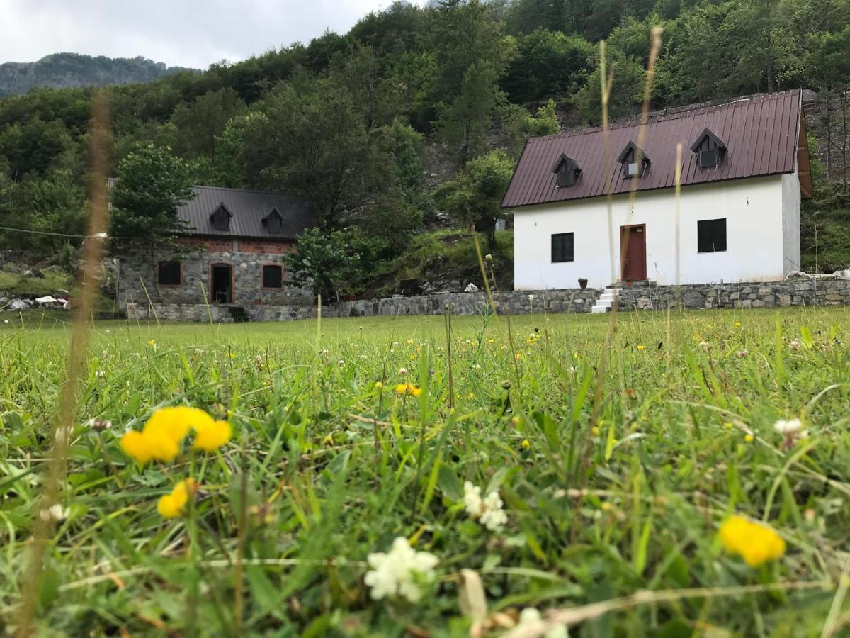 Guesthouse Freskia Theth Bagian luar foto
