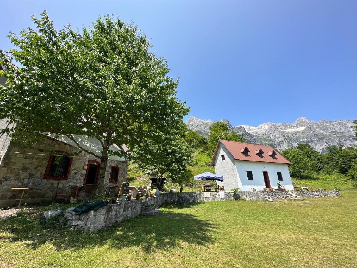 Guesthouse Freskia Theth Bagian luar foto