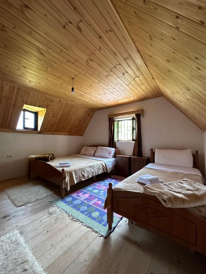 Guesthouse Freskia Theth Bagian luar foto